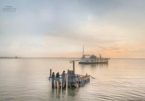 哈里森巴恩斯：从新秀到明星的篮球之路与成长故事